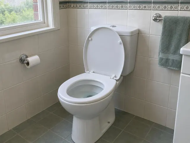 Clean white toilet in a tiled bathroom with green floor tiles and towel rail in Fairlight